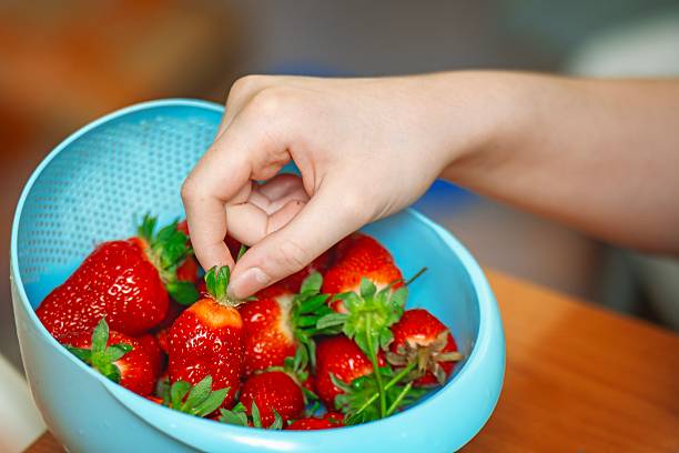 Hands holding a bowl of fresh seasonal fruit